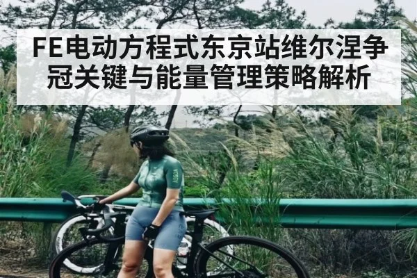 FE电动方程式东京站维尔涅争冠关键与能量管理策略解析